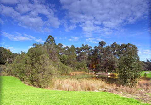View of the duck pond and gardens at Elizabeth Bridge Reserve