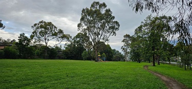 Large open grassed space