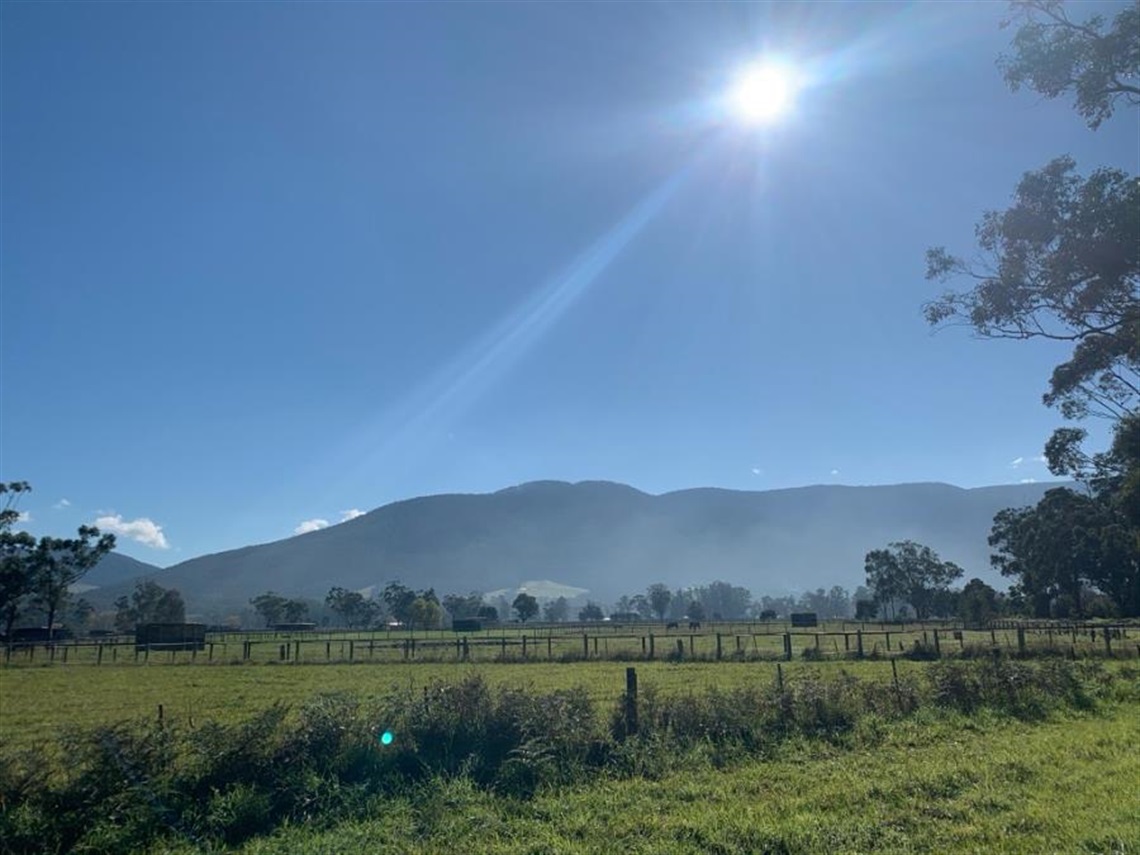 Yarra-Valley-Trail.jpg