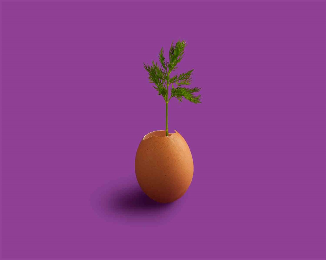 Image 1 Thumbnail and image 3 stoica-ionela-uagi76qlCdg-unsplash.jpg