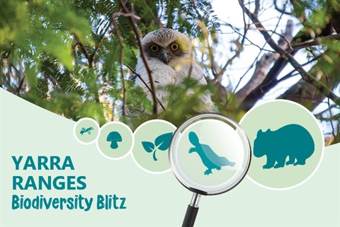 Biodiversity-Blitz-2023-WEBSITE.jpg