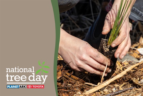 Tree-Planting-Day-2024-WEBSITE.jpg