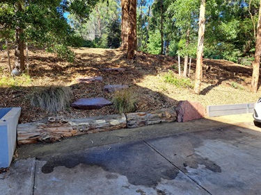 Baynes-Park-April-2025.jpg
