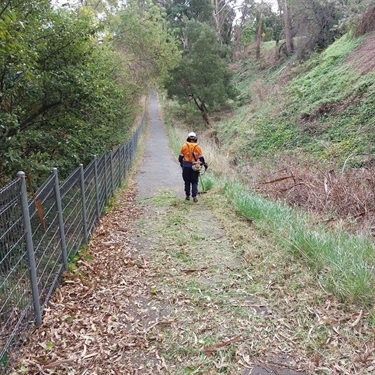 Belgrave Rail Trail.jpg