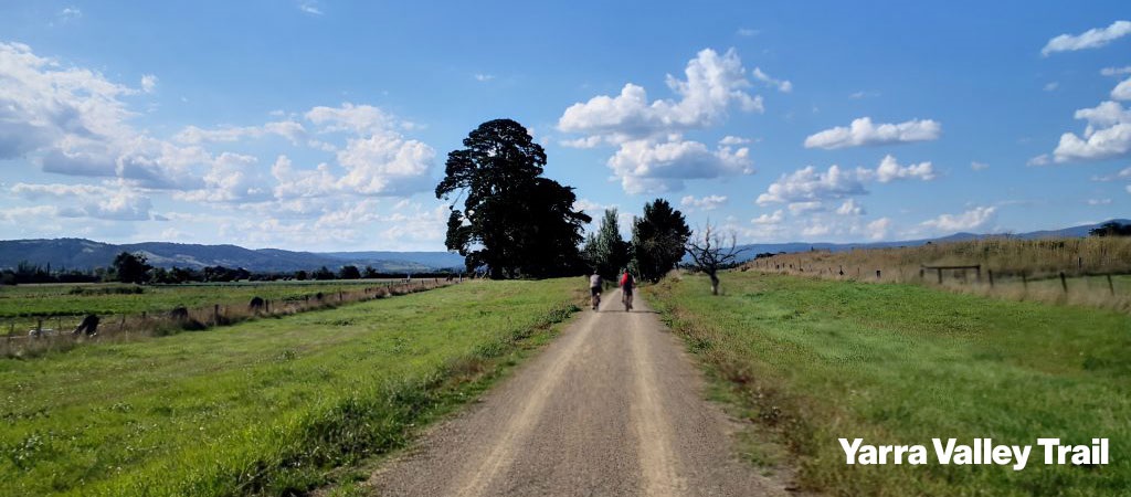 Yarra Valley trail