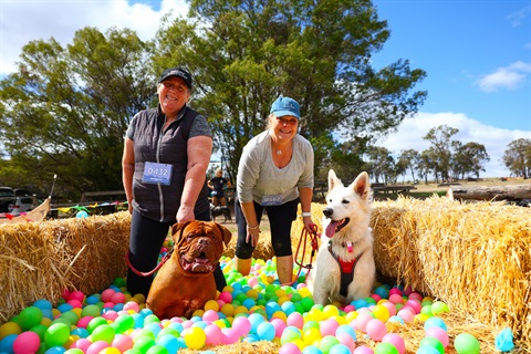 Two women holding their dogs in a colorful ball pit, smiling and laughing.