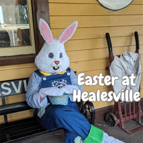 Easter-at-Healesville-2-1-1024x1024