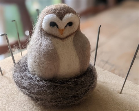 Owl