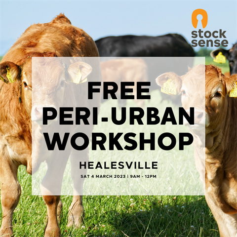 Peri-Urban-Workshop-Post-Square