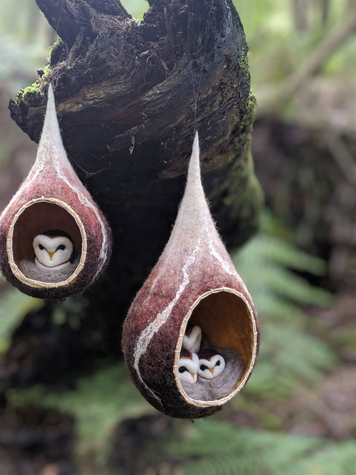 Owls2