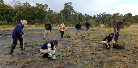 Volunteers_Youth_habitat-restoration
