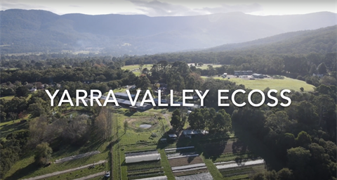 ECOSS-drone-footage