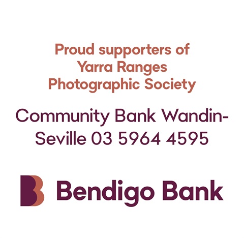 Proud_Sponsor_Supporter_Signage_Rectangle-SMALL