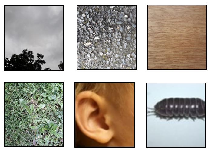outside images.JPG