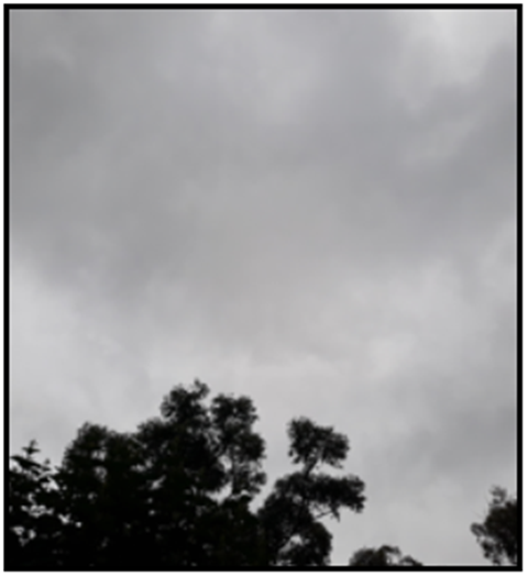 outside.png