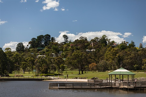 Lillydale Lake Reserve