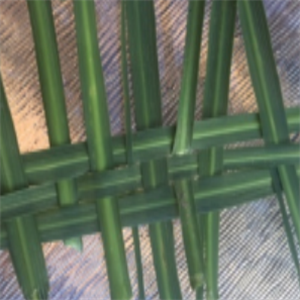 Picture3.png