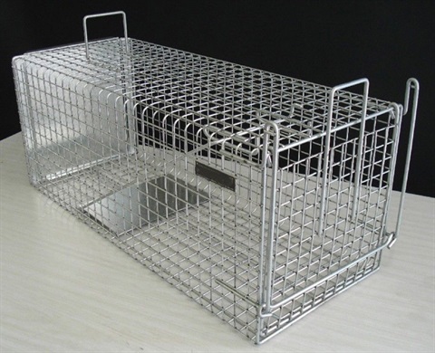 cat-trap.jpg