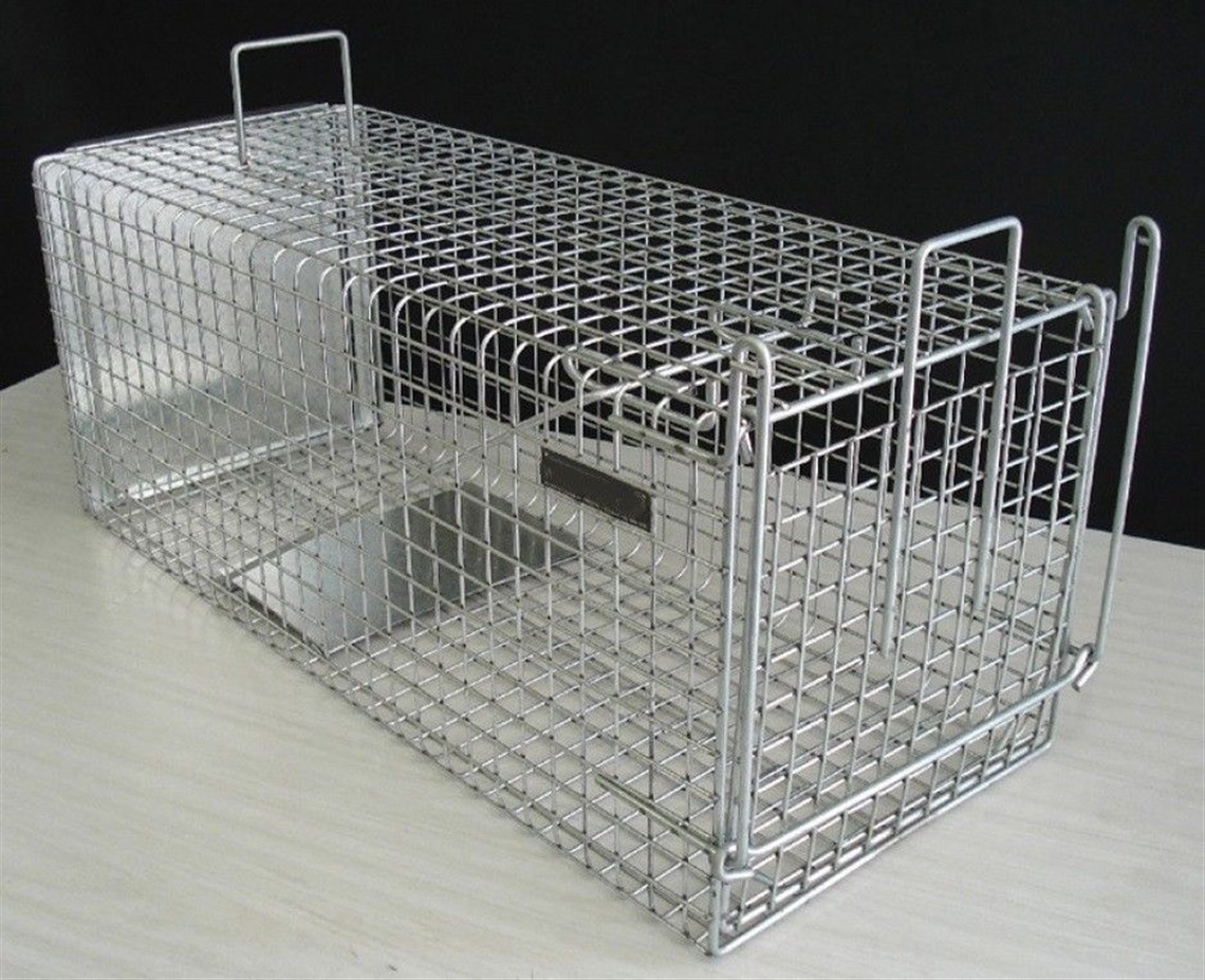 cat-trap.jpg