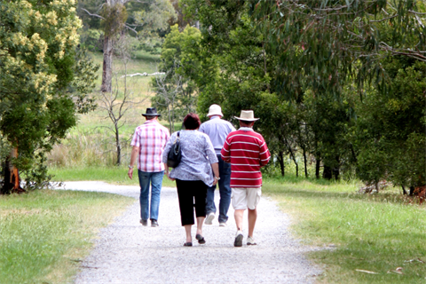 Seniors_walking.png