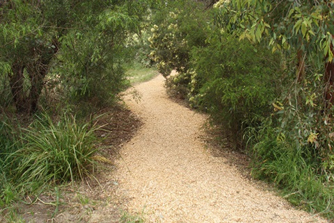margaret-lewis-reserve.jpg